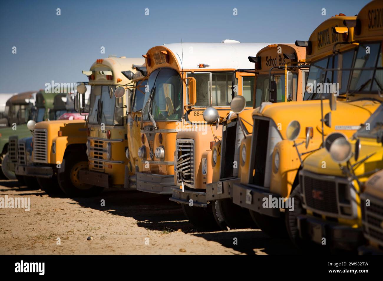 Worn out school buses rust and fade in line Stock Photo - Alamy