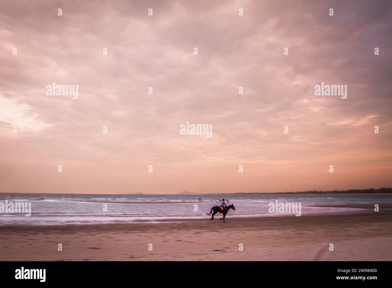 Man riding a horse on a beach Stock Photo - Alamy