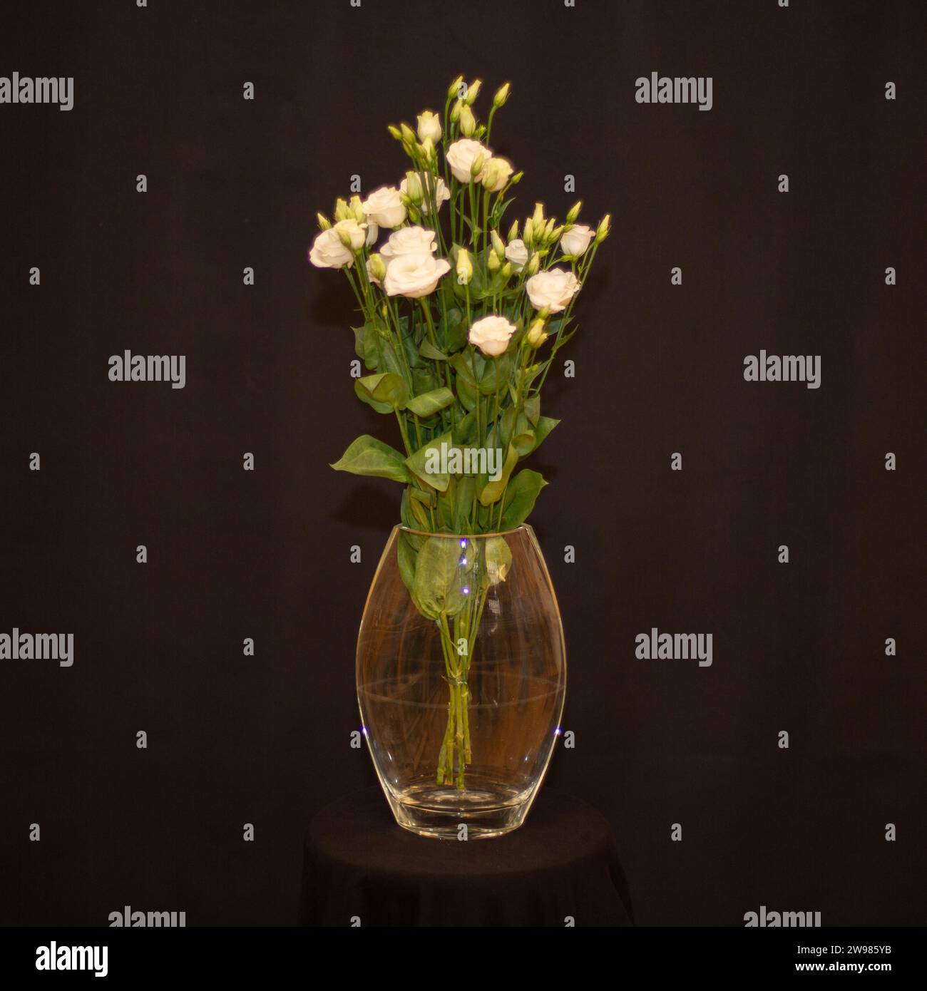 A glass vase filled with a vibrant bouquet of white flowers on a black ...
