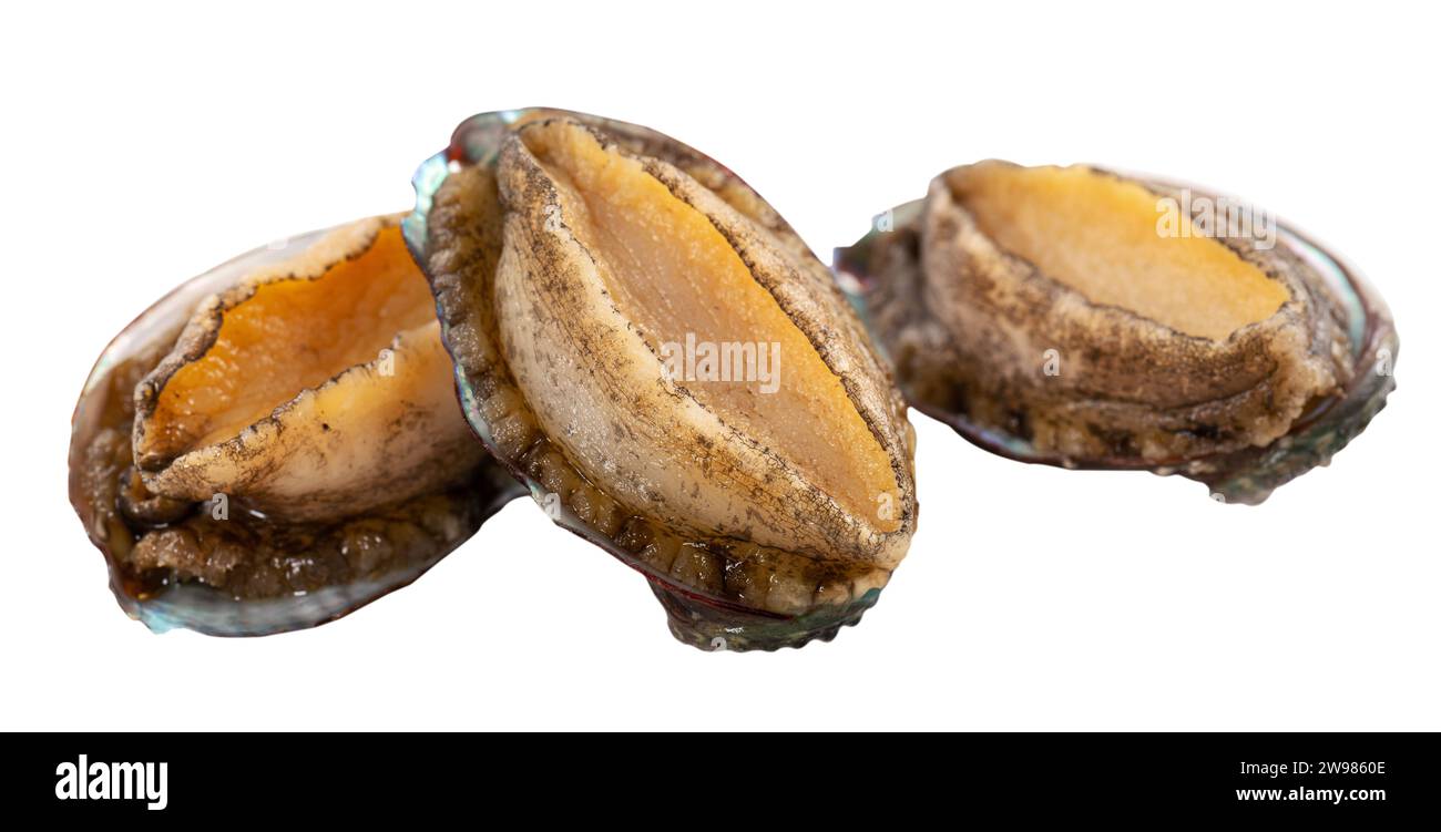 Close up of beautiful raw abalone seafood isolated on white background, clipping path cut out. Stock Photo