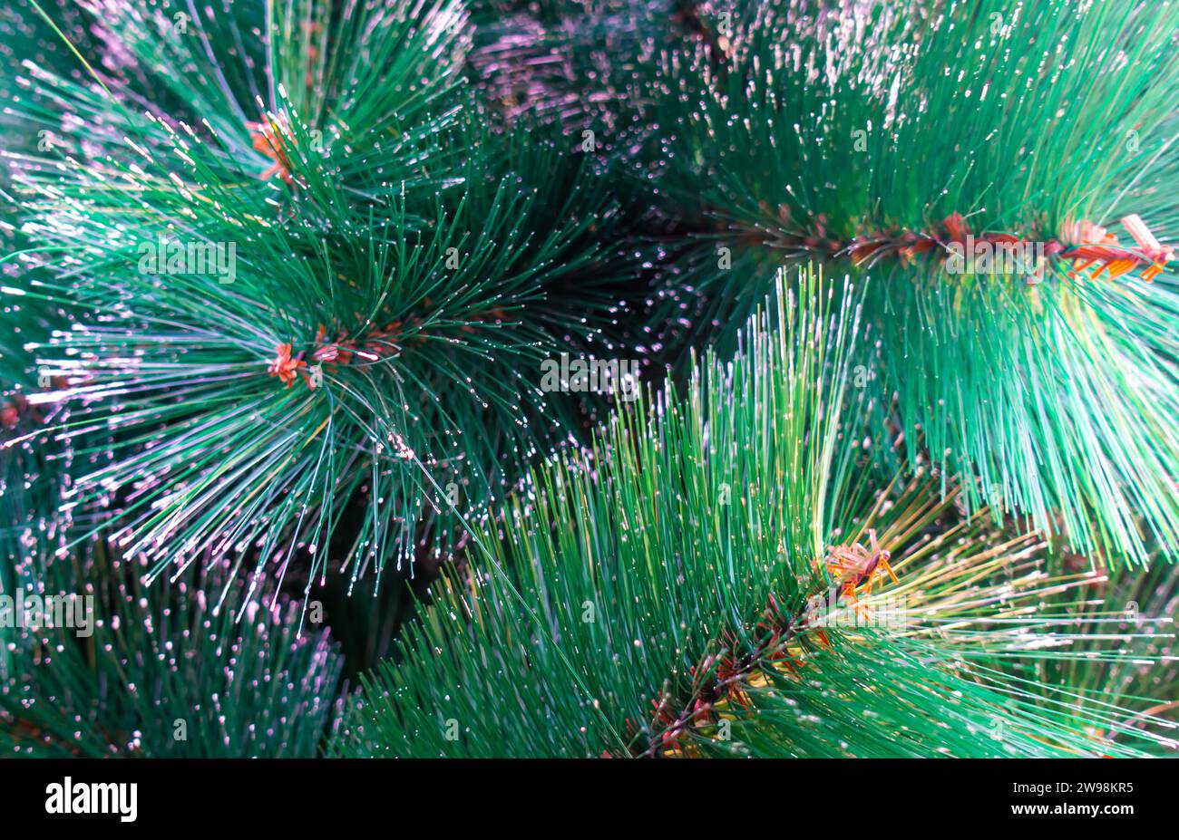 Artificial Christmas pine tree decor close-up. fur needle, fur needles, pine needle, pine needles, green needles tree, artificial frost needles Stock Photo