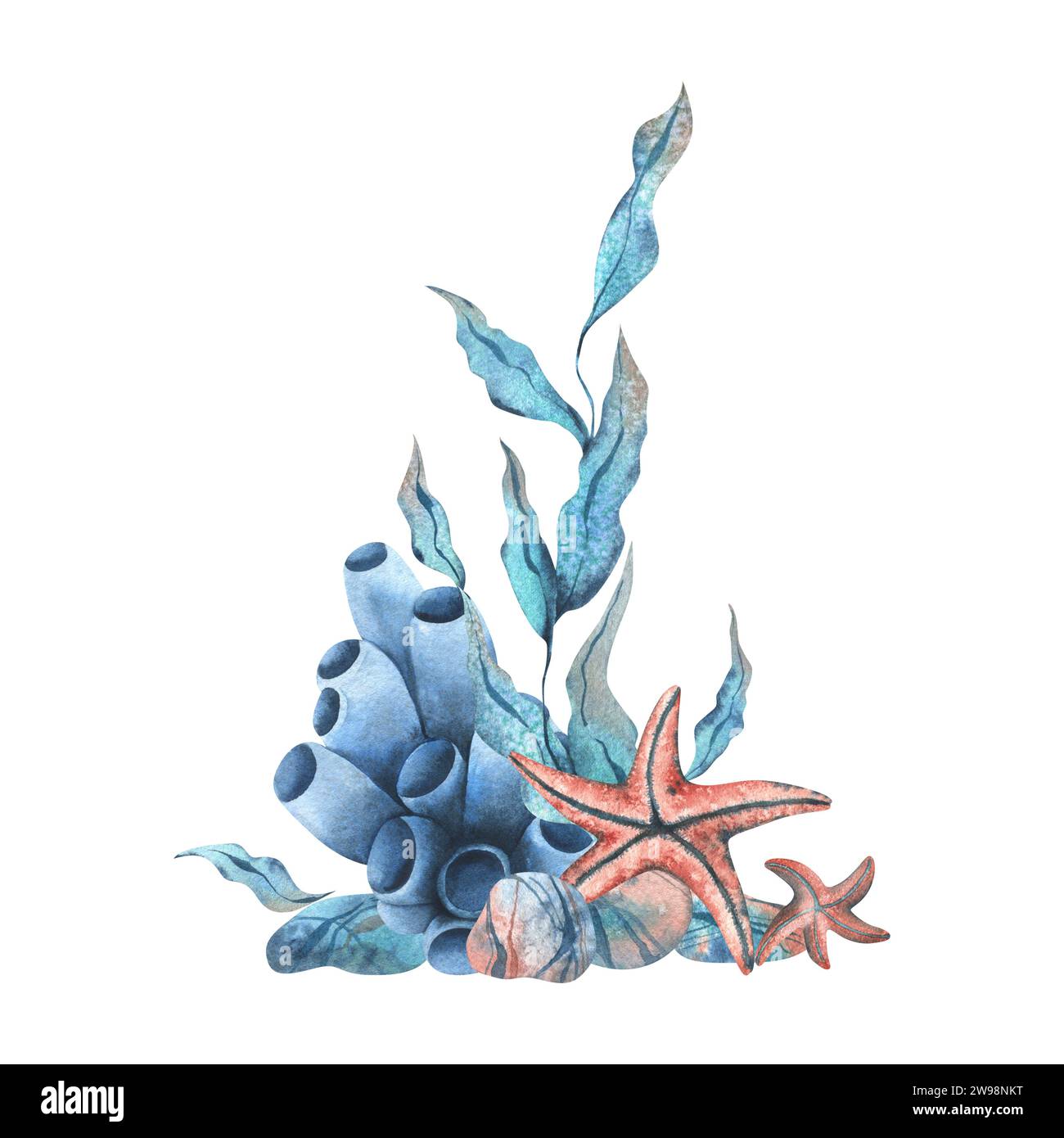 Underwater world clipart with sea animals starfish, pebbles, coral ...