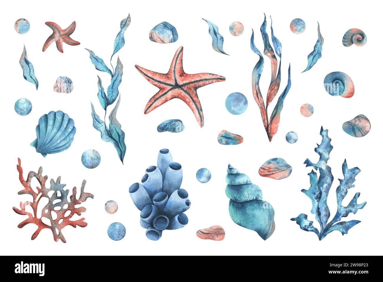 Underwater world clipart with sea animals starfish, shells, corals ...