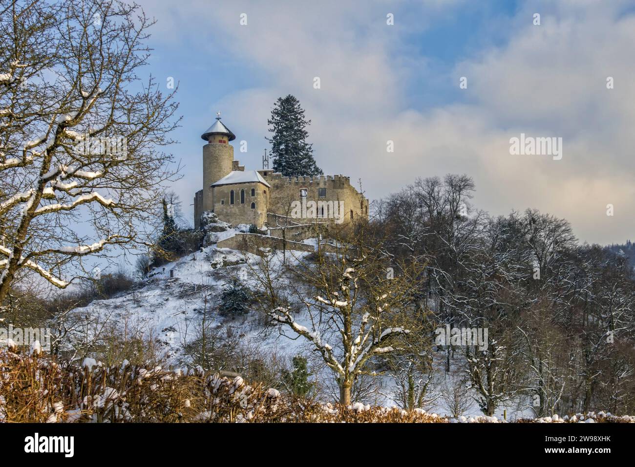 Switzerland, Arlesheim, Birseck, Hermitage, Birseck Castle, castle, Baselland, Baselbiet, winter picture, snow Stock Photo