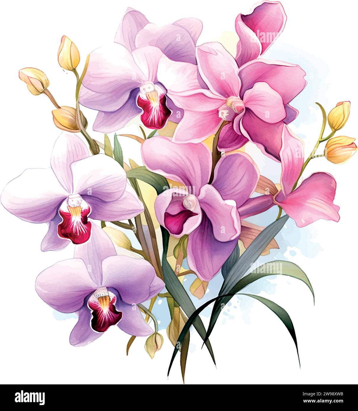 Purple phalaenopsis orchid flower Stock Vector Images - Alamy