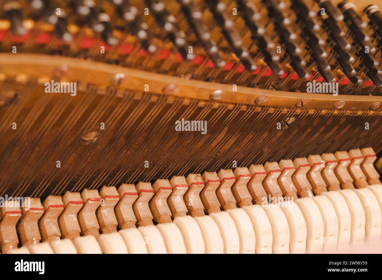A closeup of the strings, hammers and dampeners of an old vintage ...