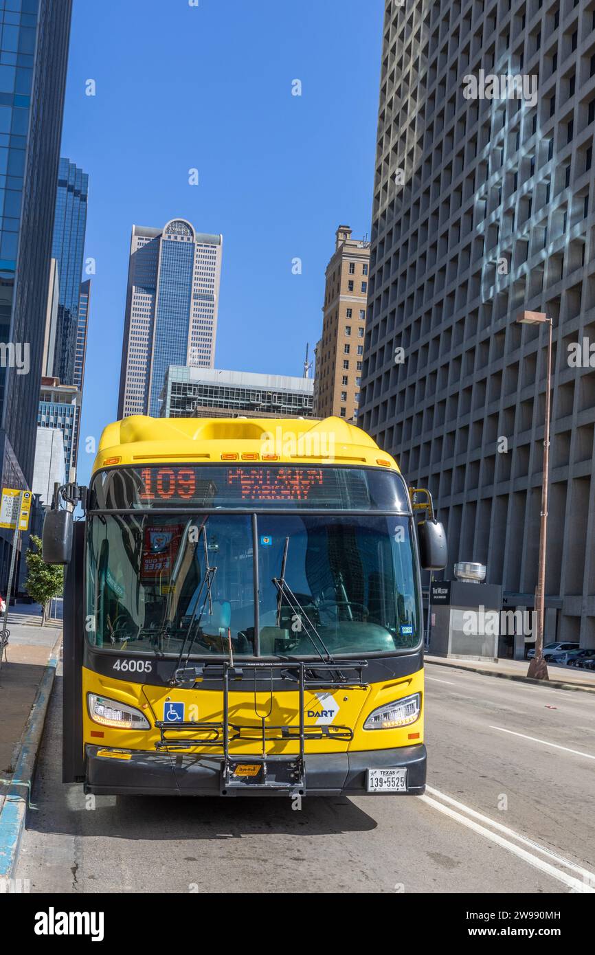 Dallas, USA - November 6, 2023: view to yellow line bus number 109 in downtown Dallas, USA. Stock Photo