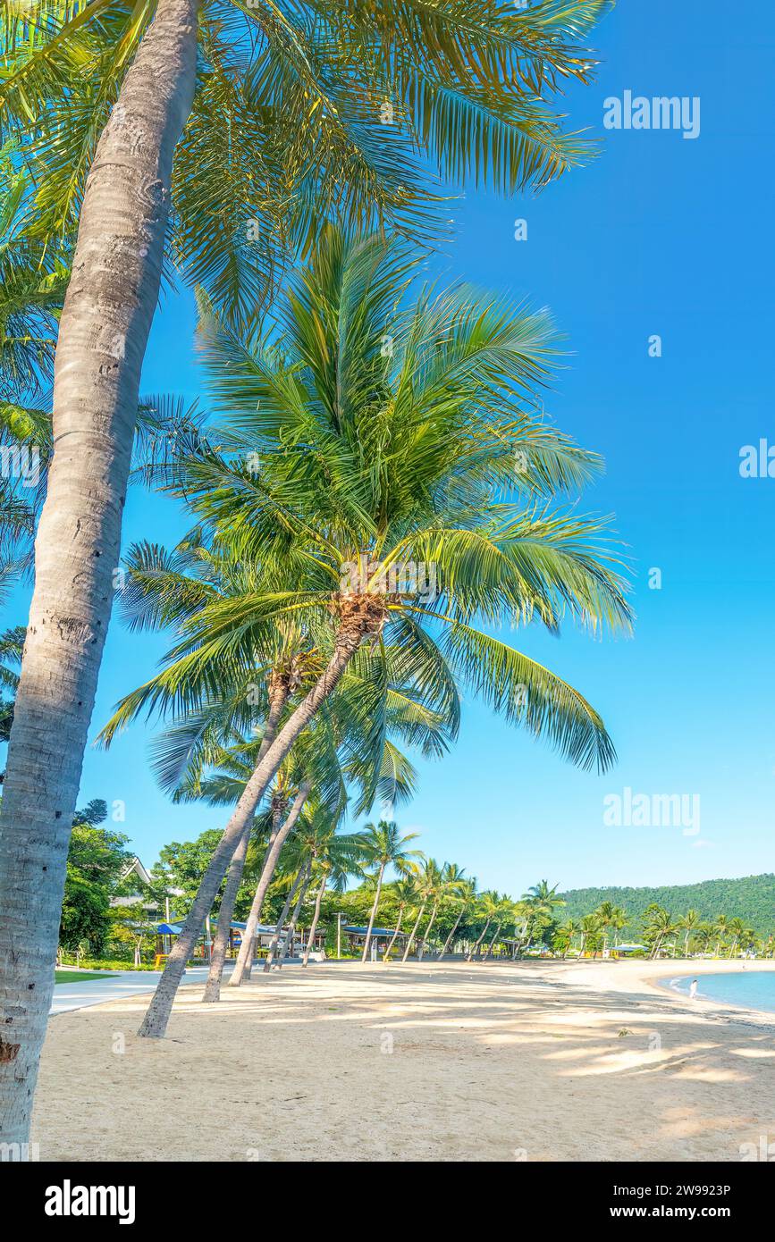 A view of Airlie Beach, Queensland, Australia. Stock Photo