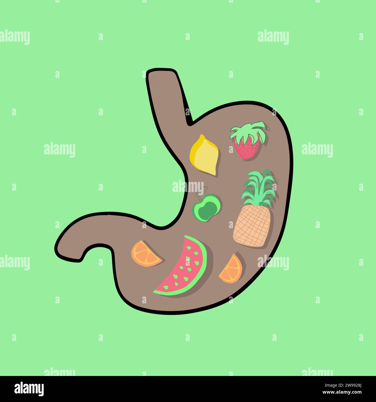 Vector isolated illustration of fruit in stomach. Benefits of fruits