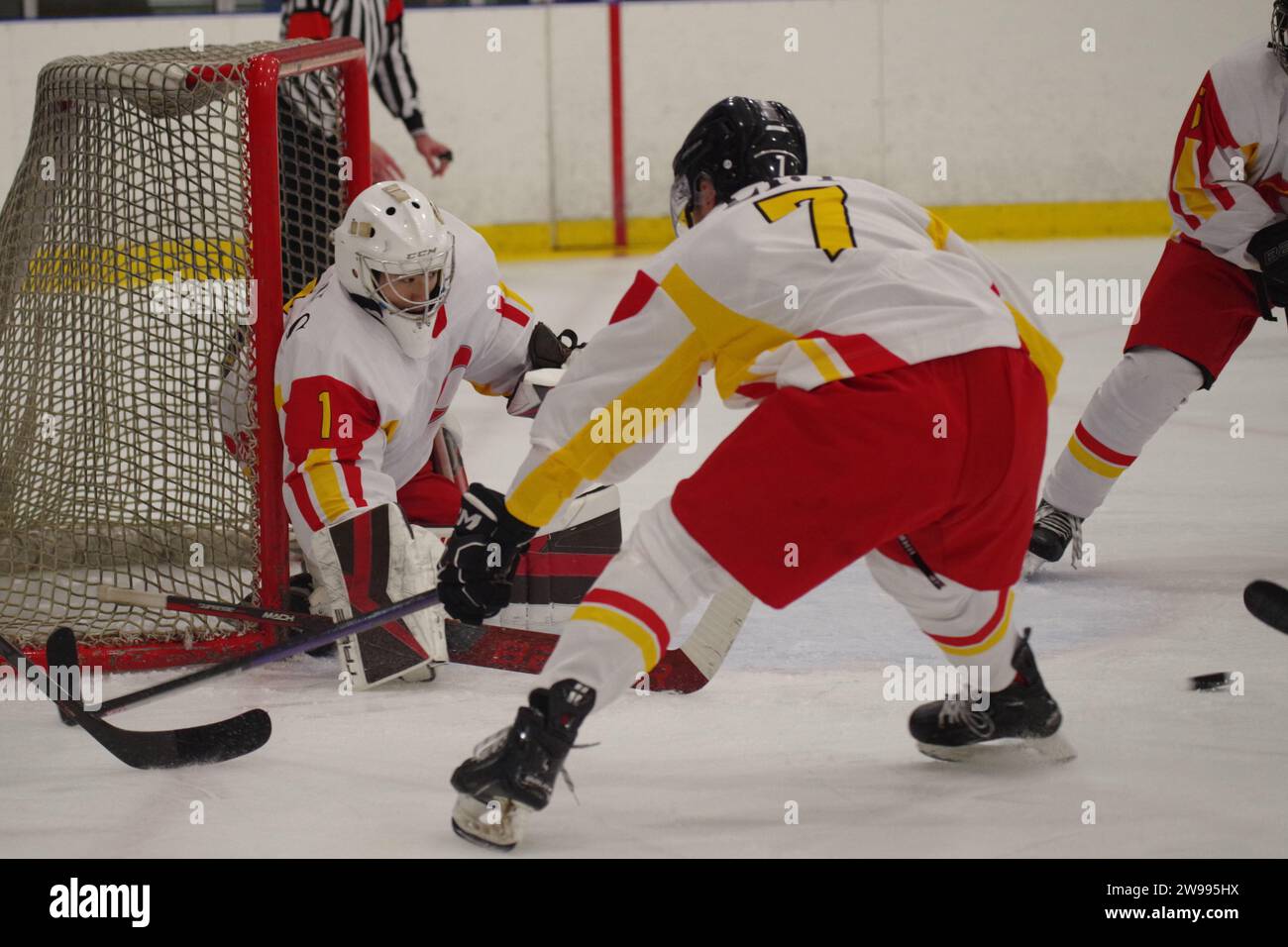 Dumfries, 14 December 2023. Netminder Chen Shifeng and Li Yilong
