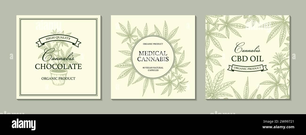 Cannabis square design for packaging, social media posts, store decoration, branding, certificates. Set of marijuana vector illustration in sketch sty Stock Vector