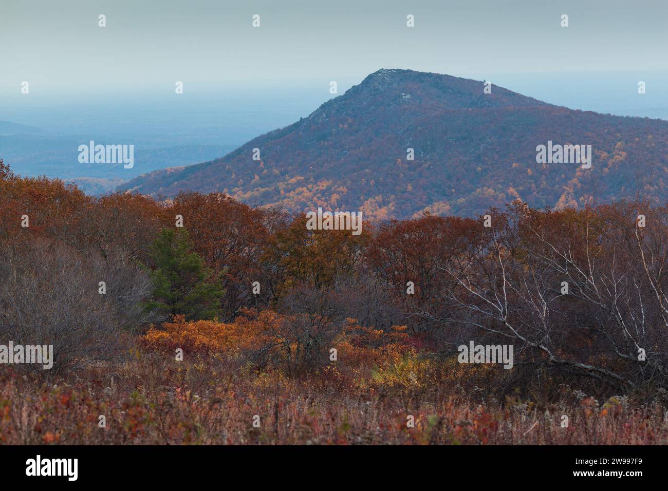 Rising full moon behind Old Rag Mountain in Shenandoah National Park ...