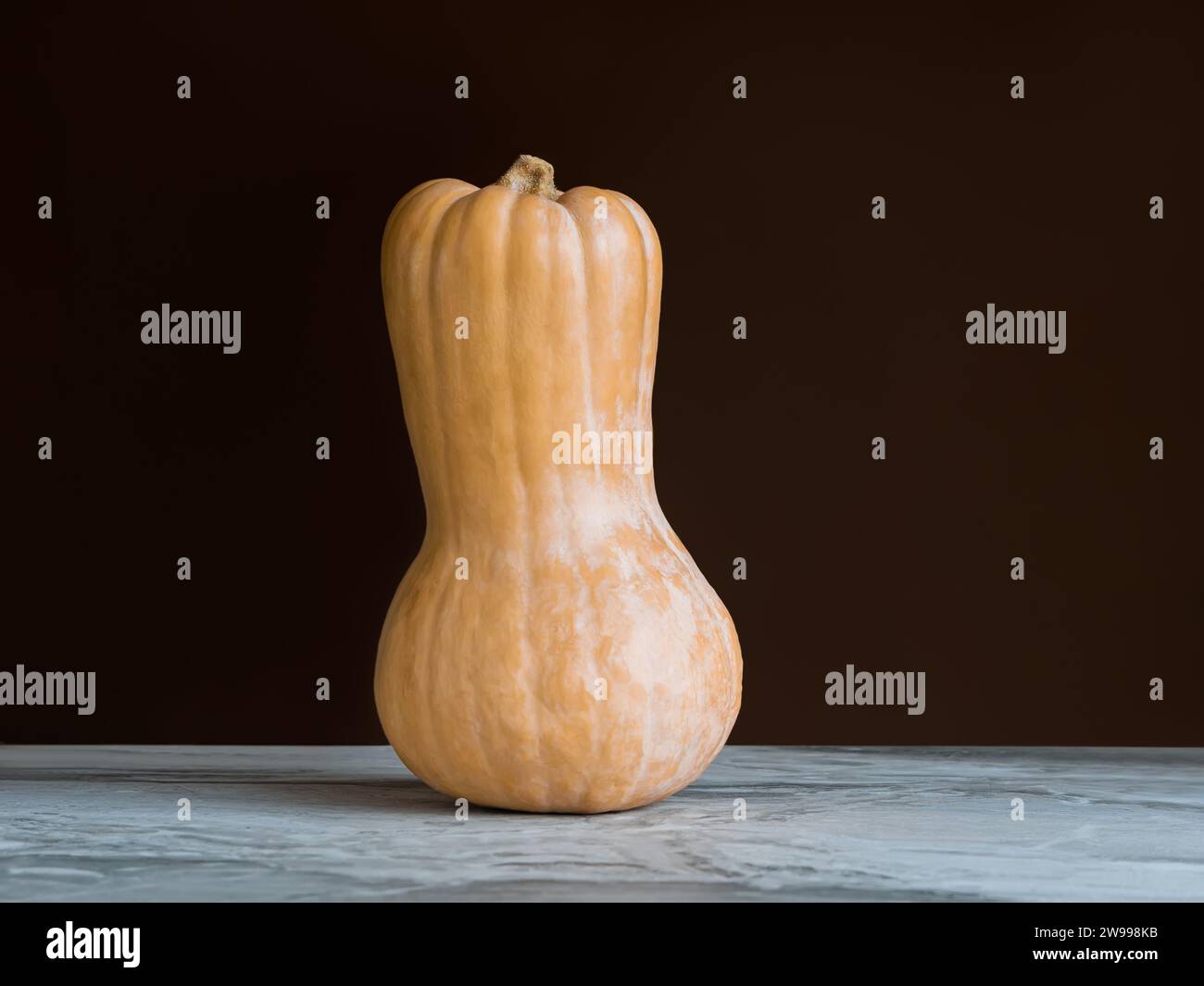 Standing upright on a marble countertop butternut squash (Cucurbita moschata), known as butternut pumpkin or gramma Stock Photo