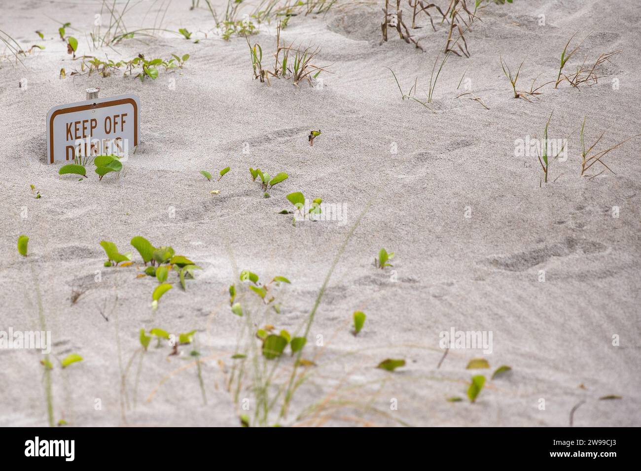 Cocoa Beach, Florida, USA Stock Photo Alamy