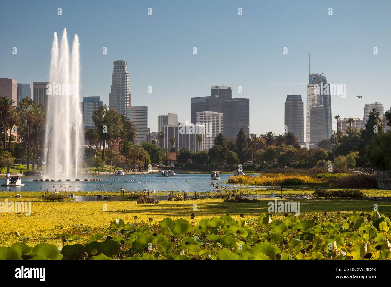 Echo Park lake with downtown Los Angeles skyline in background Stock Photo