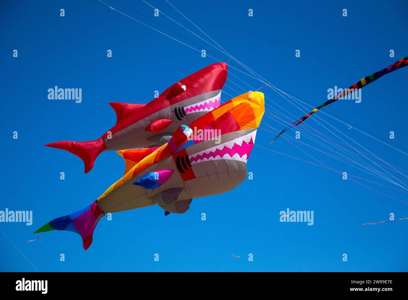 Giant colorful shark shaped comets Stock Photo - Alamy
