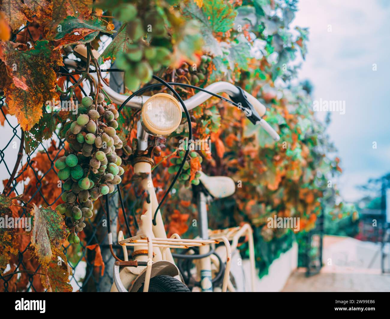 Beautiful Old rusty bicycle retro vintge with a rusty background. Stock Photo