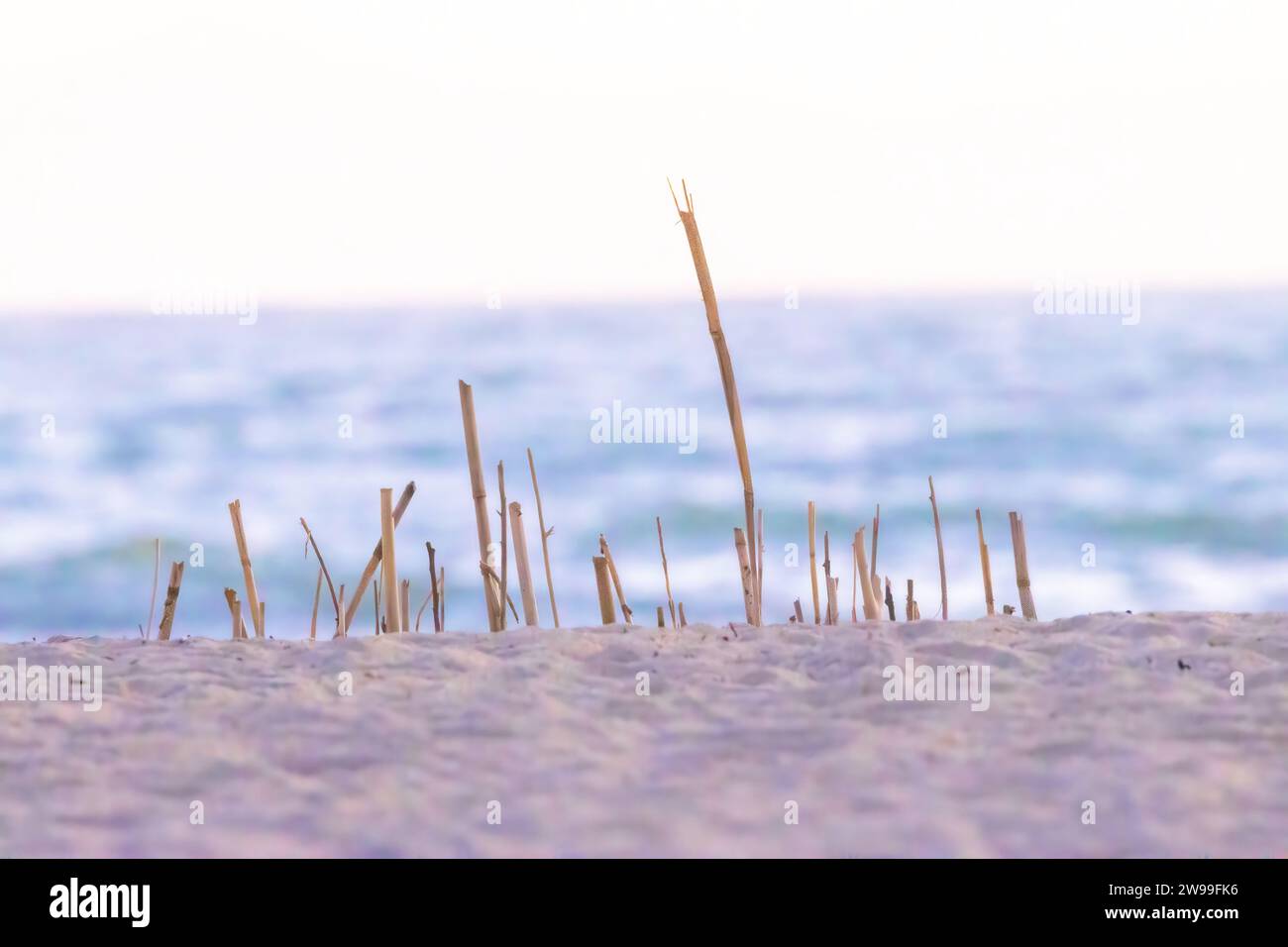 A tranquil scenery on a beach, overlooking the ocean Stock Photo