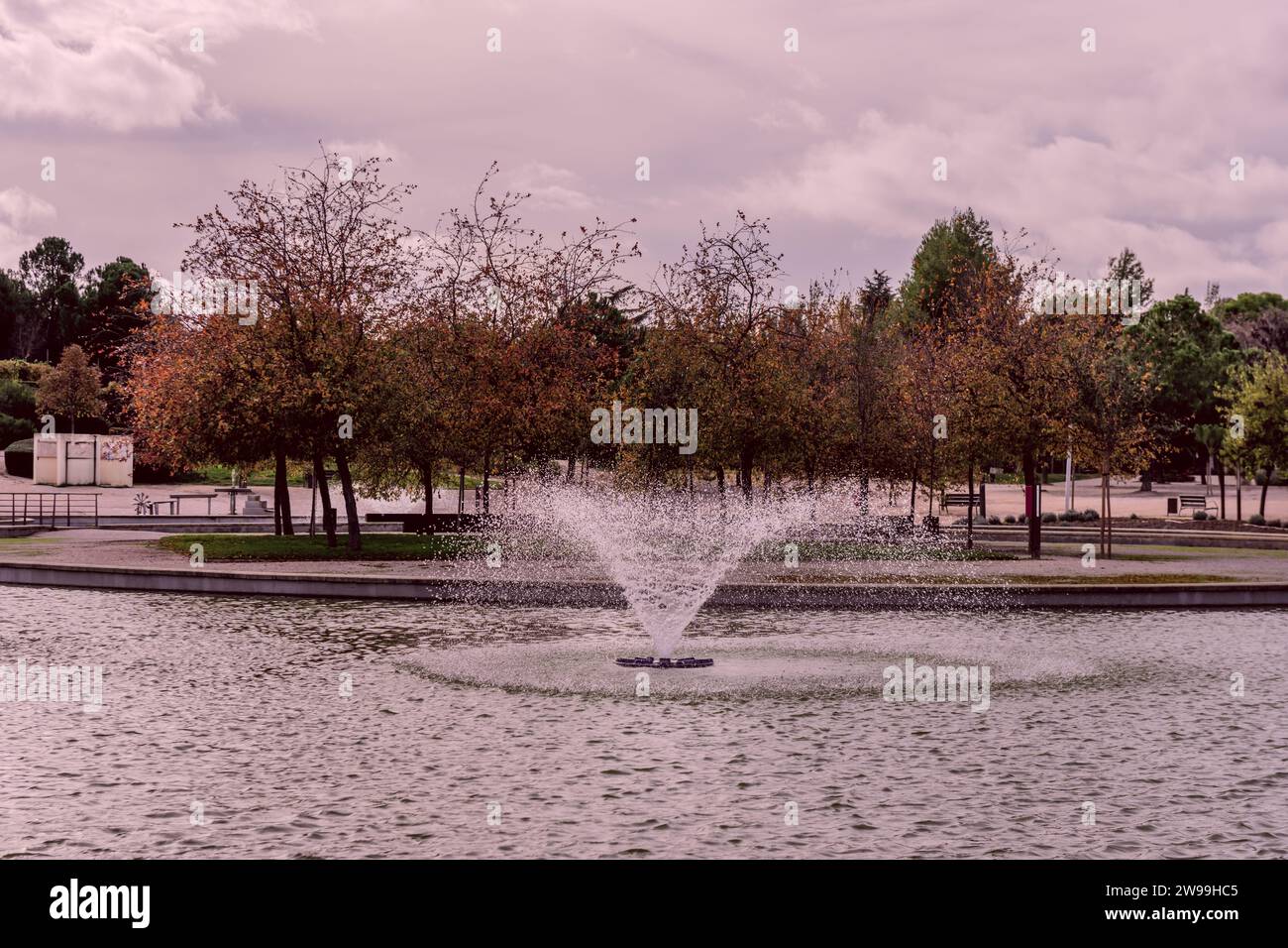 A fountain in the middle of an artificial lagoon releasing a circular stream of water in the middle of an urban park Stock Photo