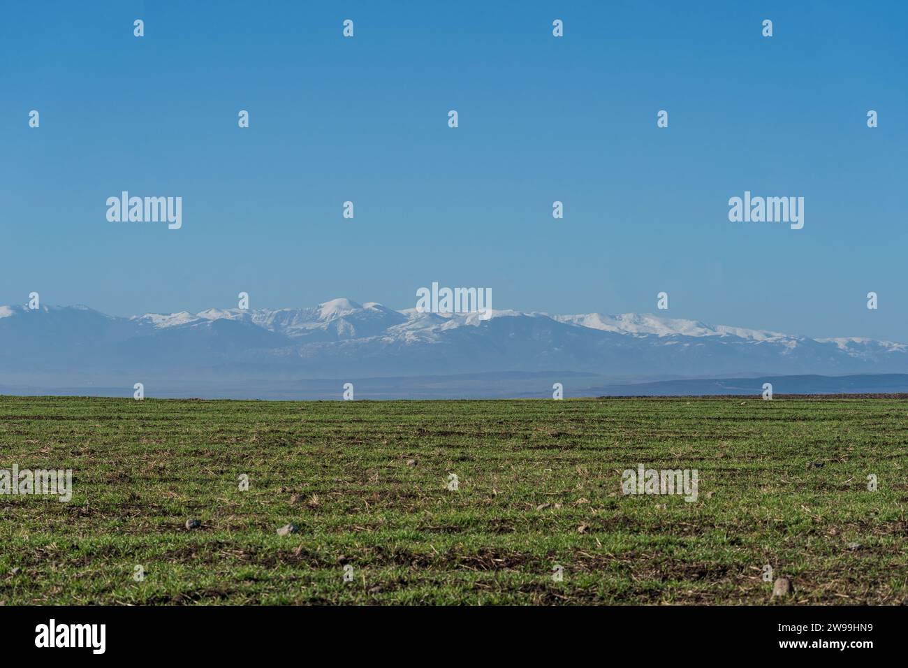 Windows 98 desktop hires stock photography and images Alamy