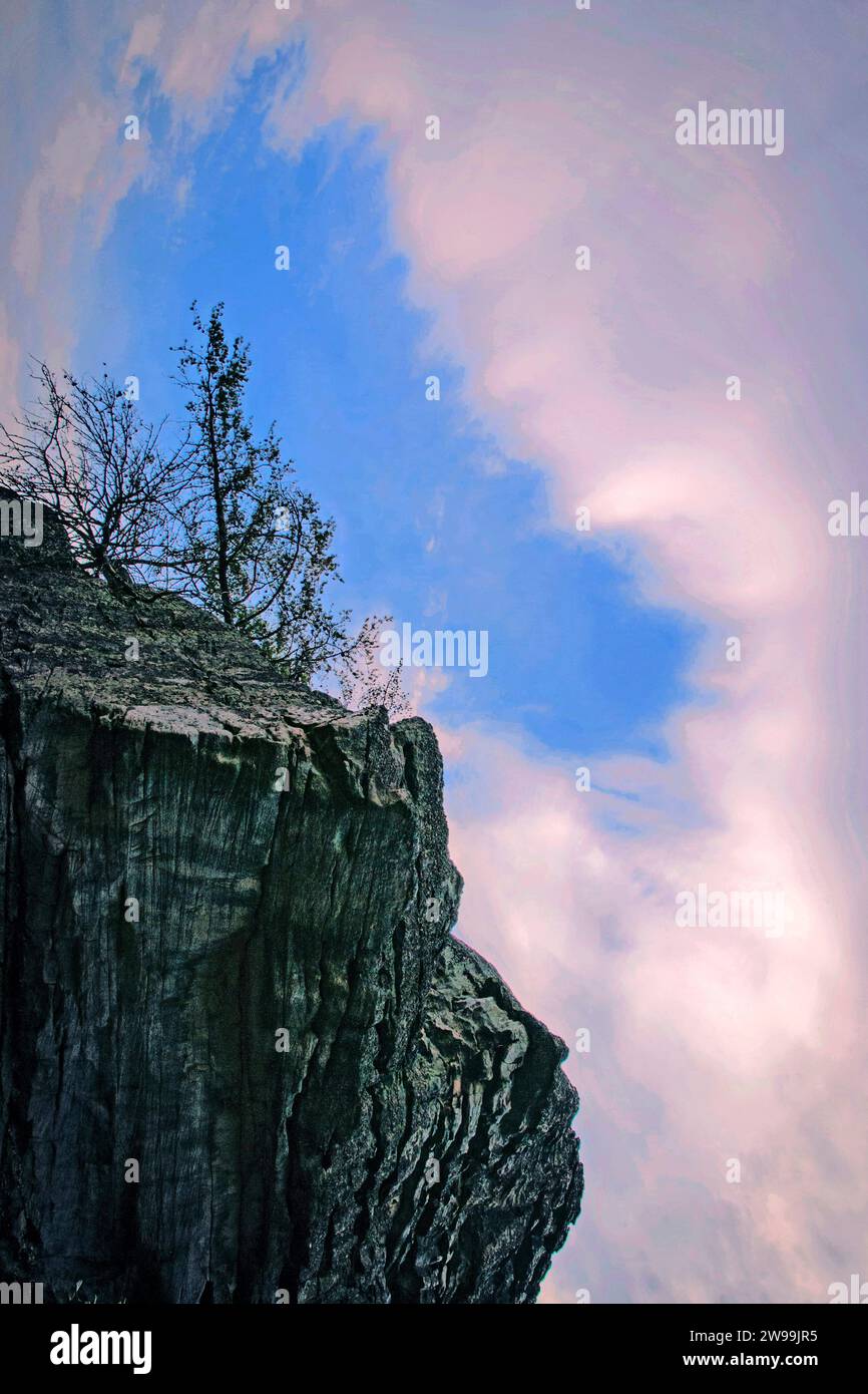 Gorgeous Tennessee Coneflower Capture for Desktop Gorgeous Tennessee Coneflower Capture for Desktop