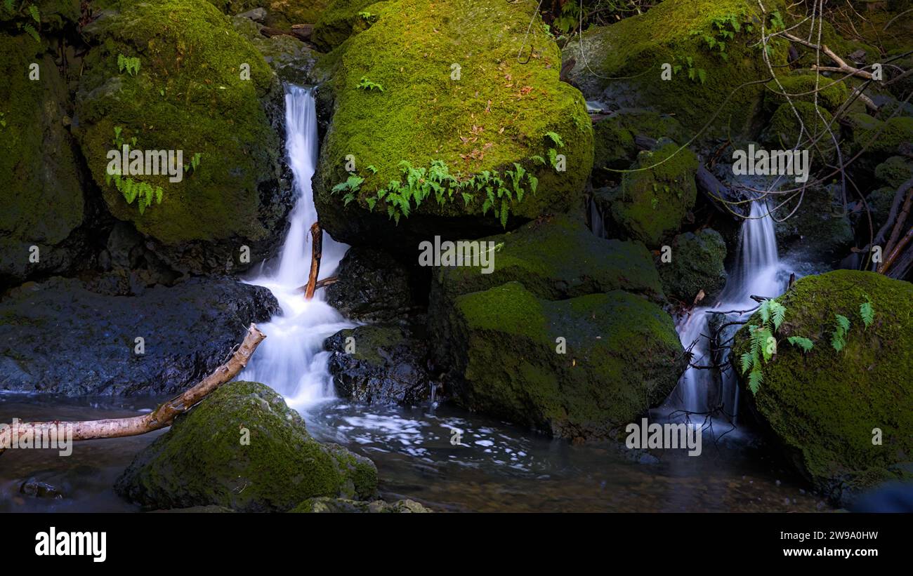 Small water falls in Mt. Tamalpais, California. Stock Photo