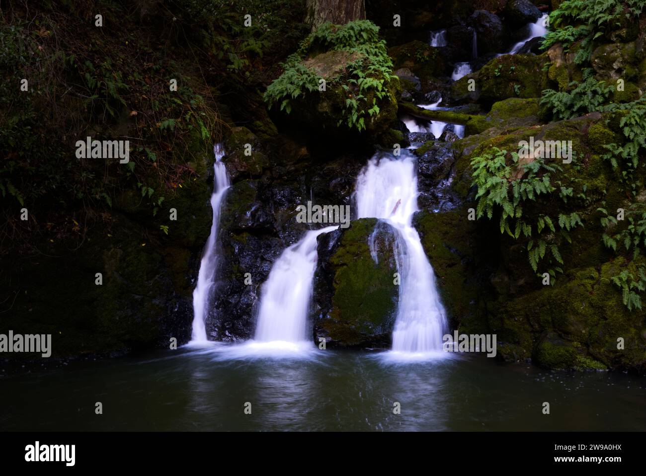 Small water falls in Mt. Tamalpais, California. Stock Photo