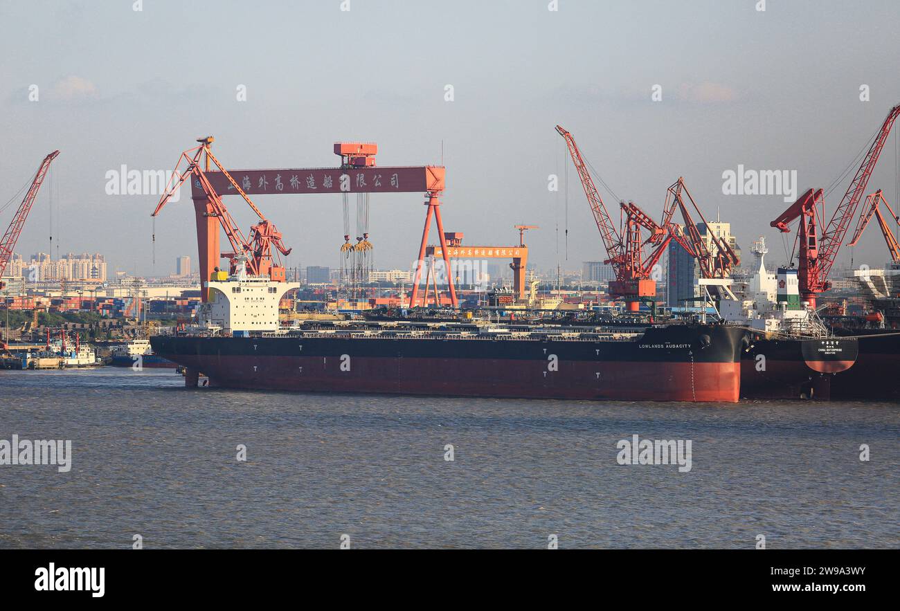 Shanghai Shipyard Co Ltd (CSSC) with new bulk carrier cargo ships, gantry cranes, Stock Photo