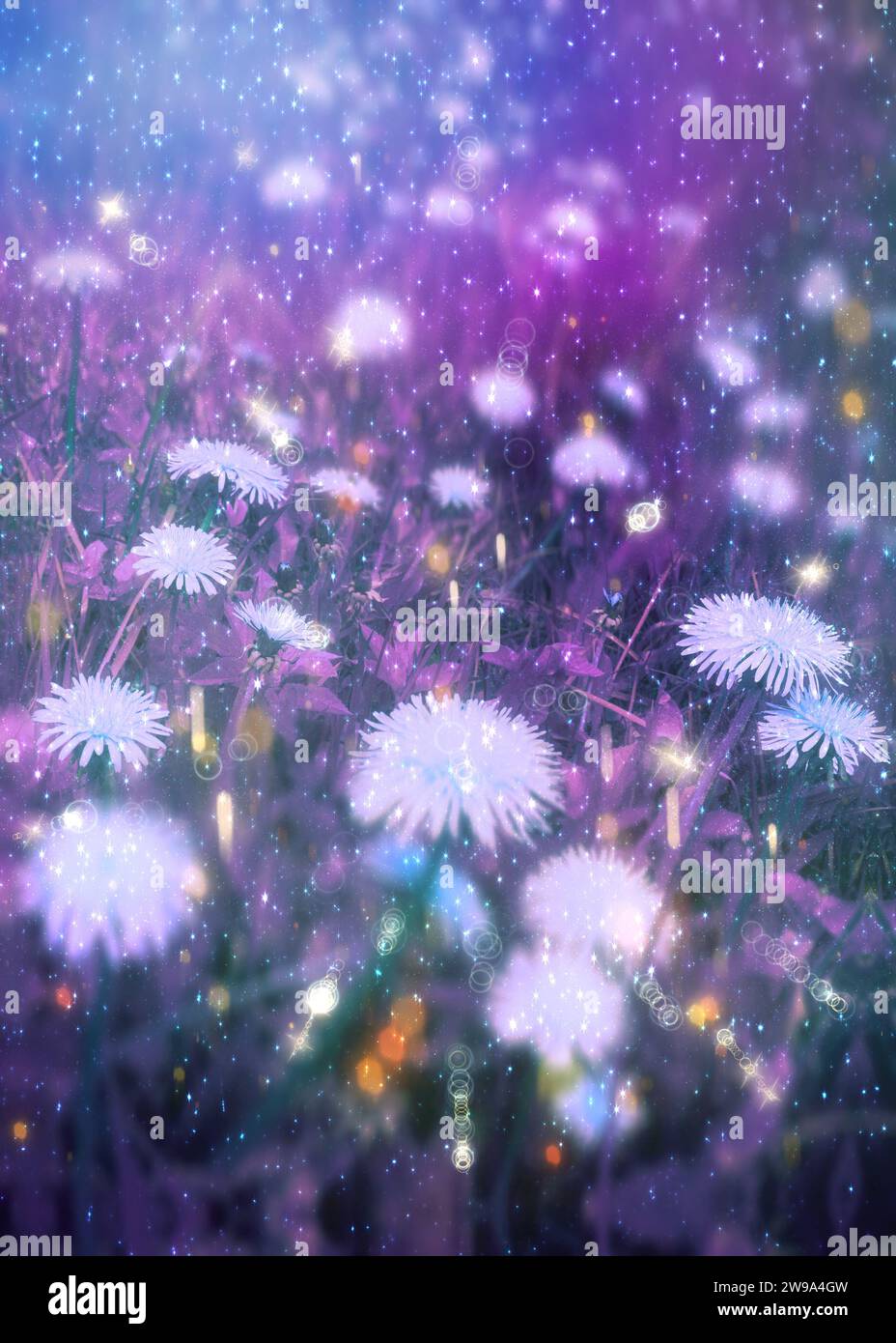 Abstract dandelion flowers in purple grass with fairy dust, photo manipulation, illustration. Stock Photo