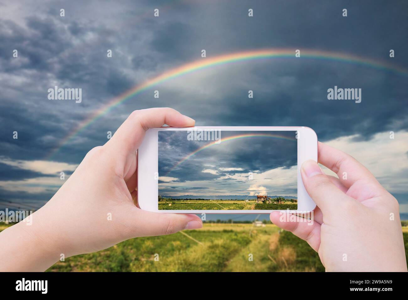 woman using mobile smartphone taking photo of rainbow in the sky over agriculture field Stock Photo