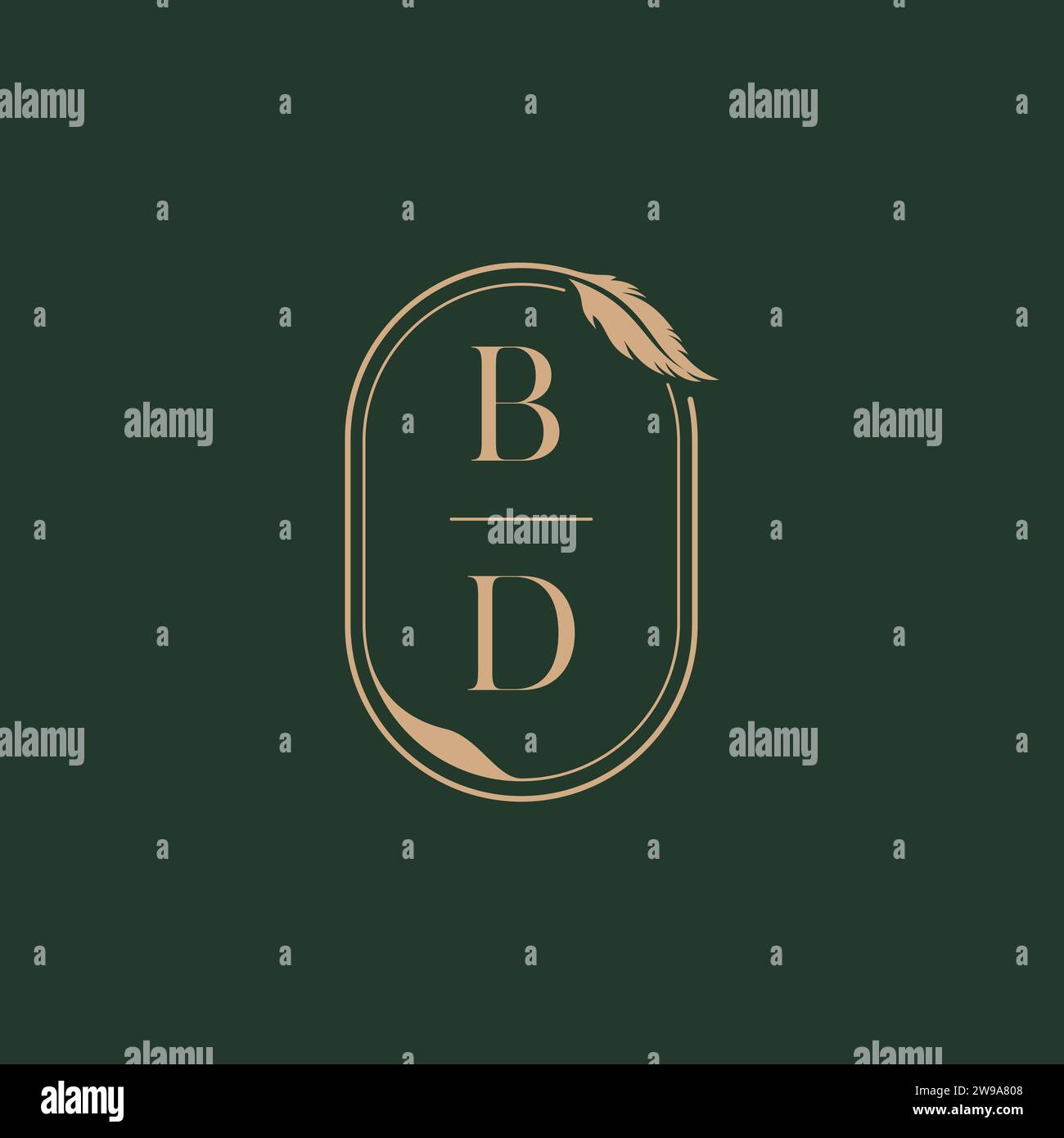 BD feather concept wedding monogram logo design ideas as inspiration Stock Vector