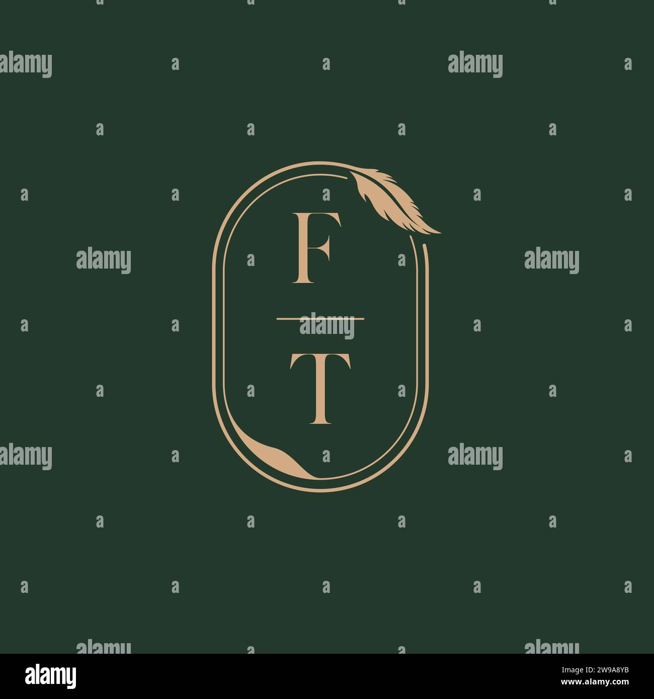 FT feather concept wedding monogram logo design ideas as inspiration Stock Vector