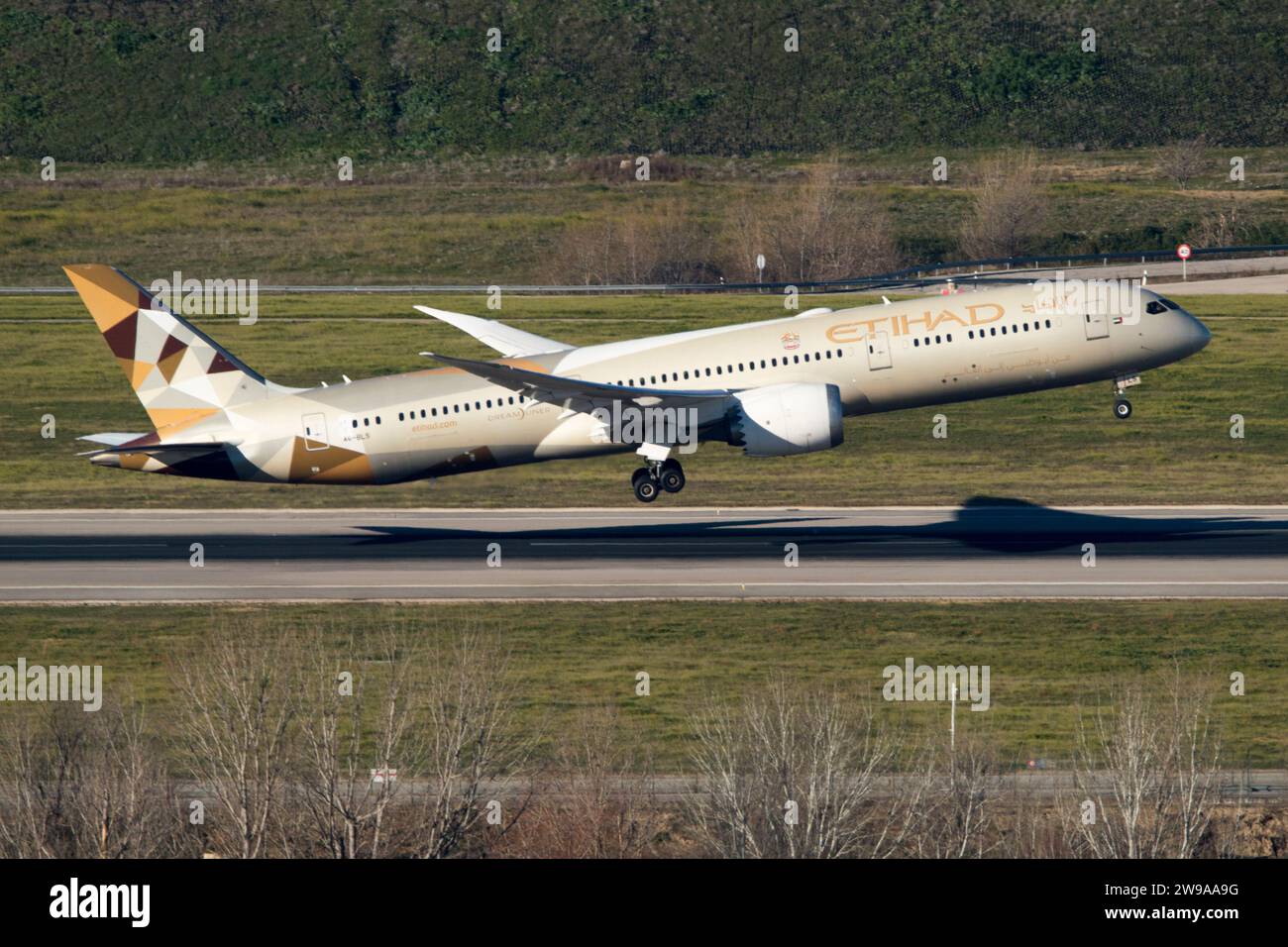 Boeing 787 airliner of the Etihad airline Stock Photo