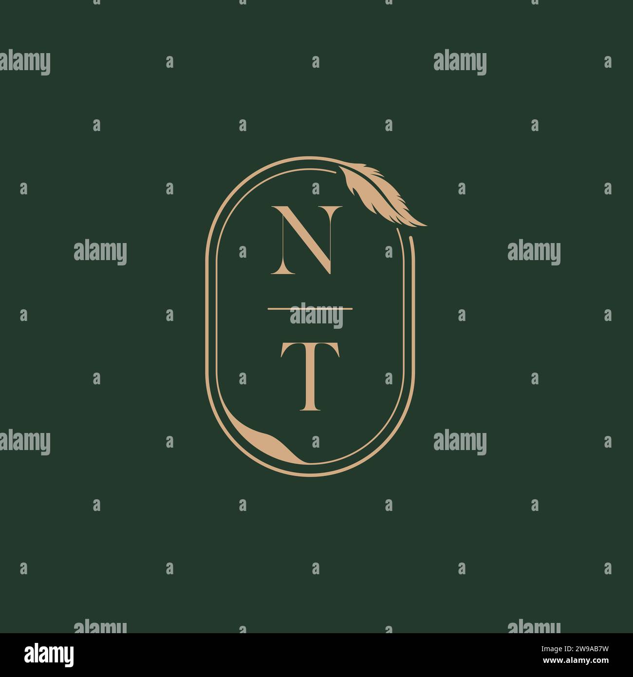 NT feather concept wedding monogram logo design ideas as inspiration Stock Vector