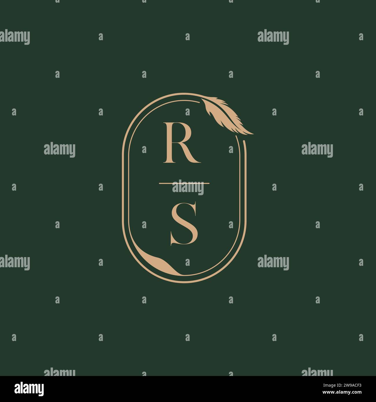 RS feather concept wedding monogram logo design ideas as inspiration Stock Vector