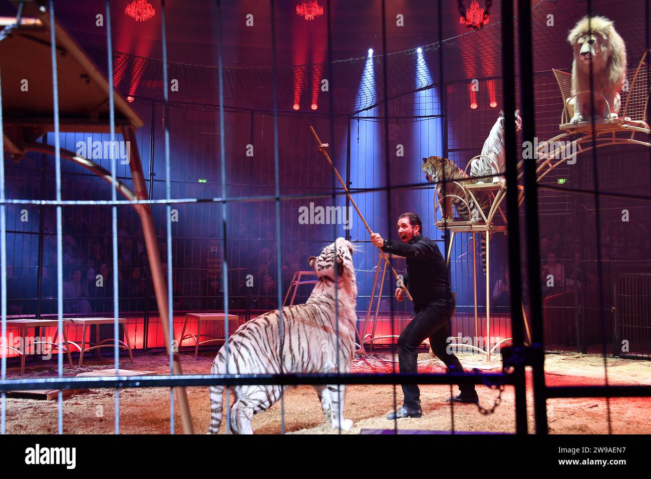  Show / 1. Winterprogramm von Zirkus Krone Farbenspiel / Premiere Motiv 