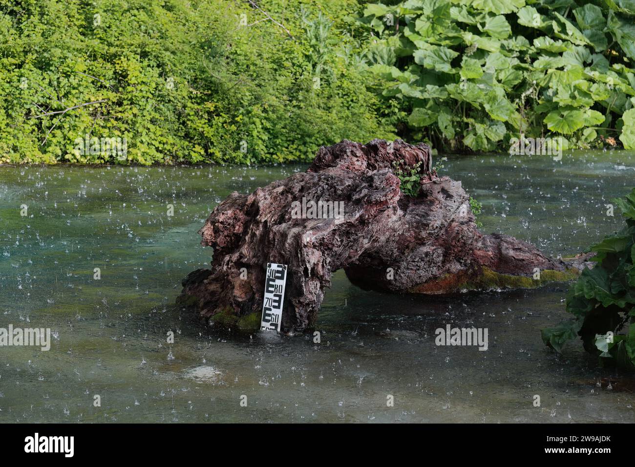 180 Heavy rainfall on Bistrice river bluish water, level-measuring scale on a tree trunk downstream from Blue Eye spring. Muzine-Finiq-Albania. Stock Photo