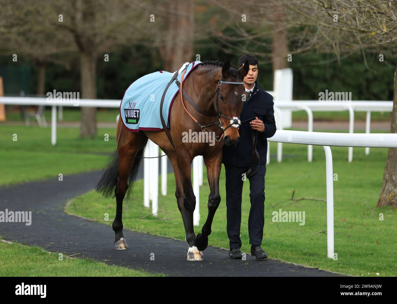 Russian Ruler is lead around the pre-parade ring on day one of the Ladbrokes Christmas Festival at Kempton Park, Sunbury-on-Thames. Picture date: Tuesday December 26, 2023. Stock Photo