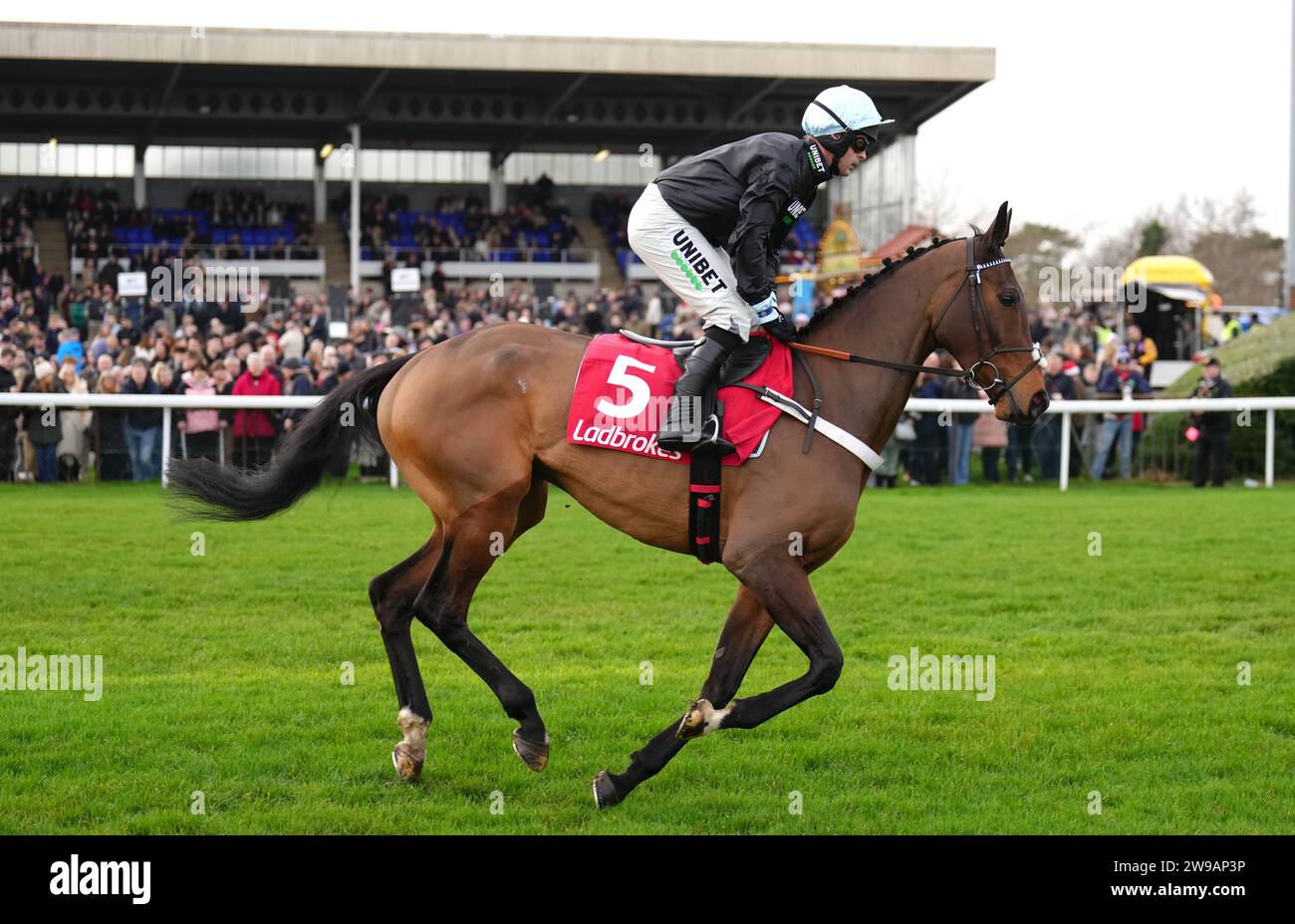 Russian Ruler ridden by Nico de Boinville go to post prior to Ladbrokes Boost Your Odds On Racing Novices' Limited Handicap Chase on day one of the Ladbrokes Christmas Festival at Kempton Park, Sunbury-on-Thames. Picture date: Tuesday December 26, 2023. Stock Photo