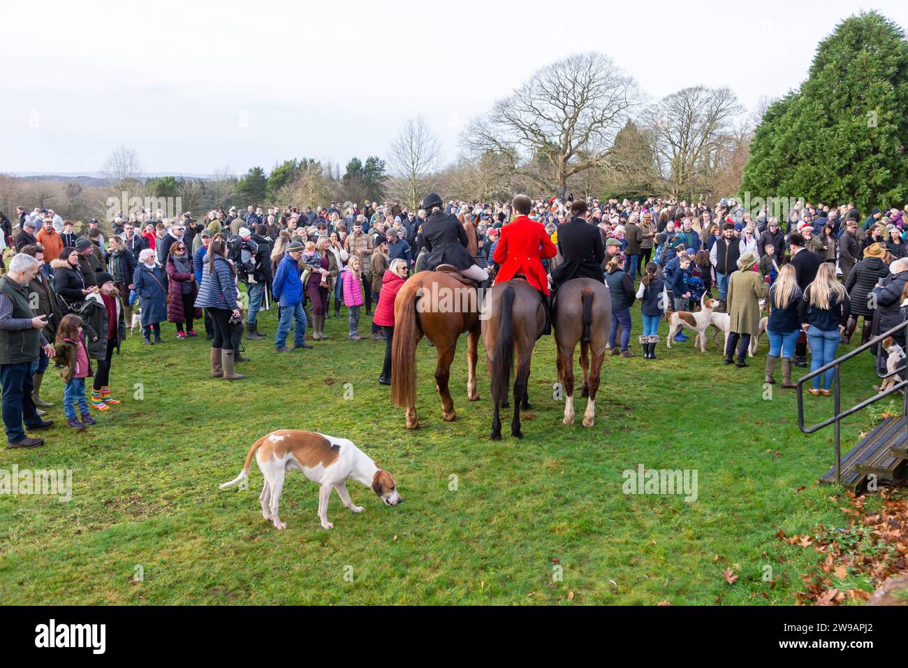 Hagley, Worcestershire, UK. Hundreds arrive to follow the Boxing Day meet at the Albrighton and Woodland Hunt at Hagley Hall, Worcestershire. 26th December, 2023. Credit: Peter Lopeman/Alamy Live News Stock Photo