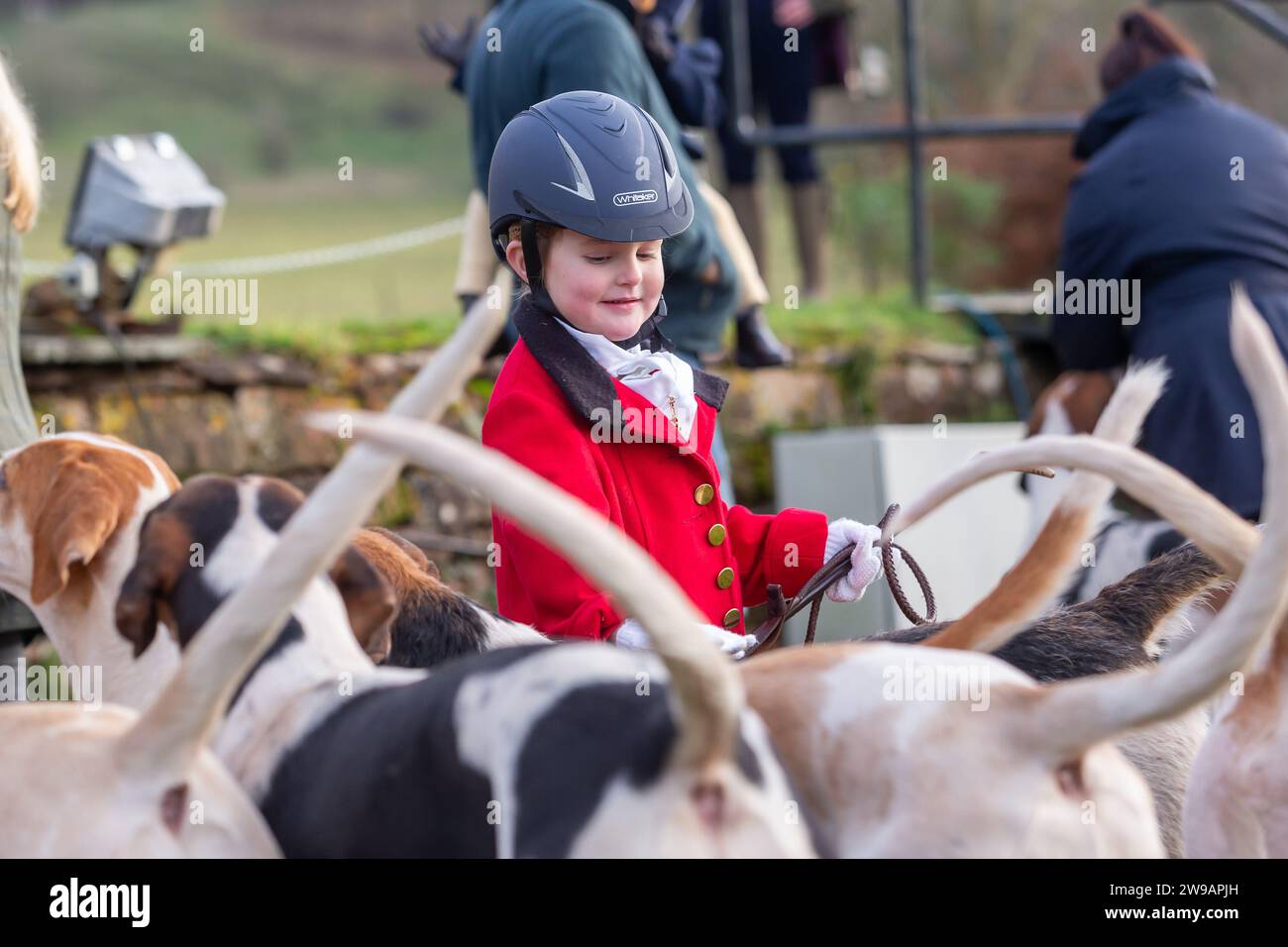Hagley, Worcestershire, UK. 26th Dec, 2023. 4 year old Myla Mills stands among the hunt riders and hounds at Albrighton and Woodland Hunt's Boxing Day meet at Hagley Hall, Worcestershire. Credit: Peter Lopeman/Alamy Live News Stock Photo