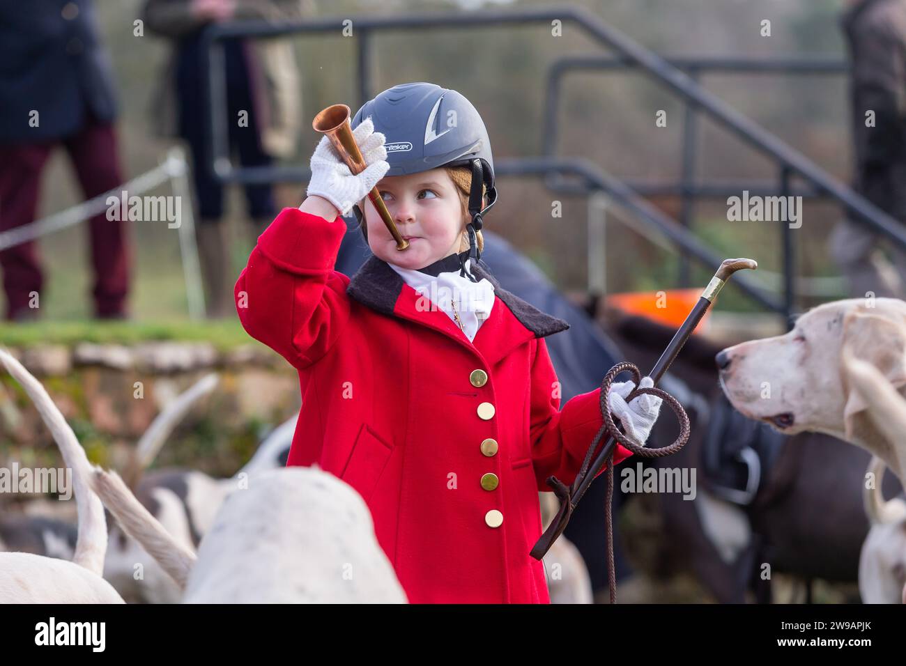 Hagley, Worcestershire, UK. 26th Dec, 2023. 4 year old Myla Mills blows her horn among the hunt riders and hounds at Albrighton and Woodland Hunt's Boxing Day meet at Hagley Hall, Worcestershire. Credit: Peter Lopeman/Alamy Live News Stock Photo