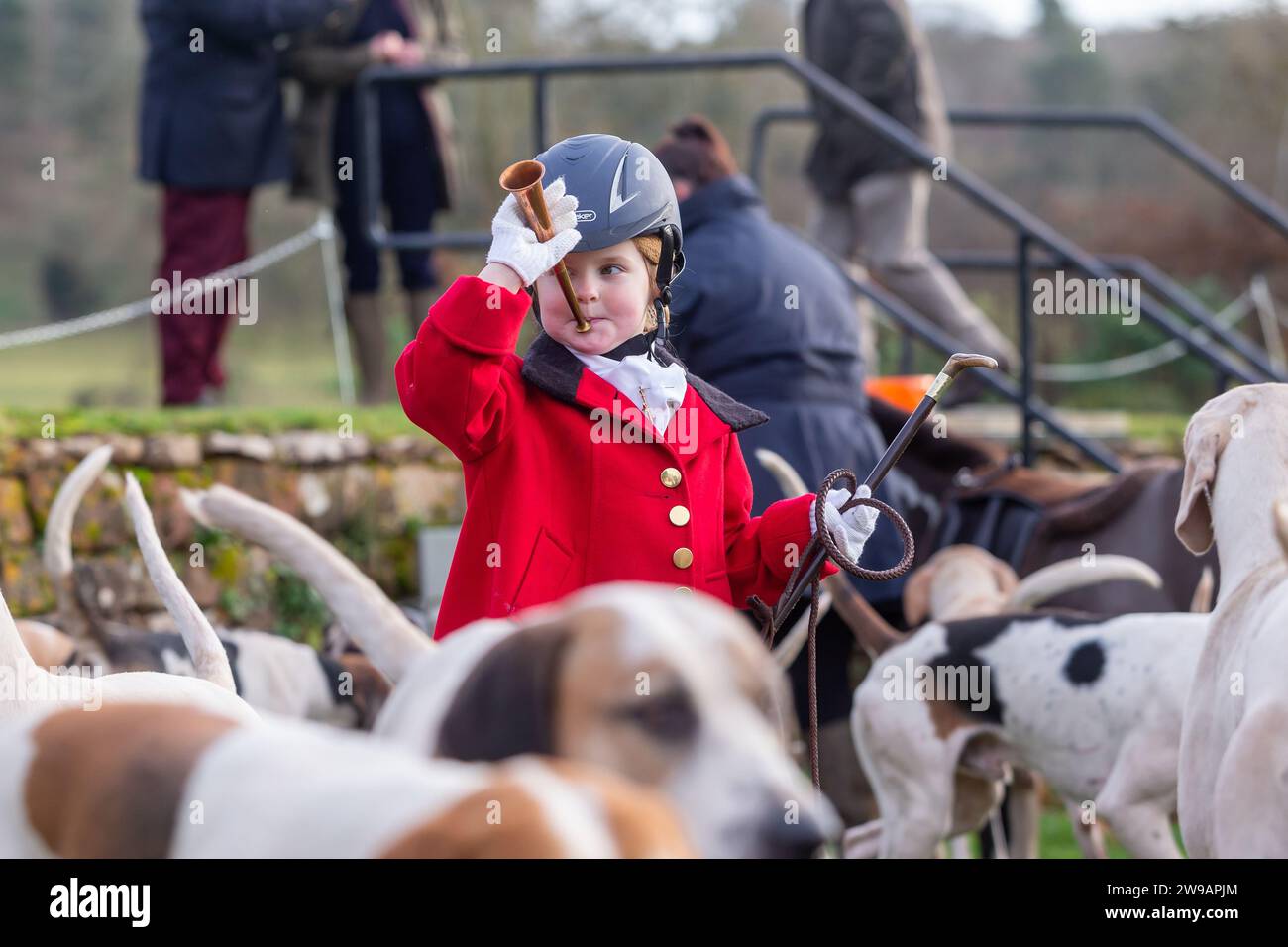 Hagley, Worcestershire, UK. 26th Dec, 2023. 4 year old Myla Mills blows her horn among the hunt riders and hounds at Albrighton and Woodland Hunt's Boxing Day meet at Hagley Hall, Worcestershire. Credit: Peter Lopeman/Alamy Live News Stock Photo