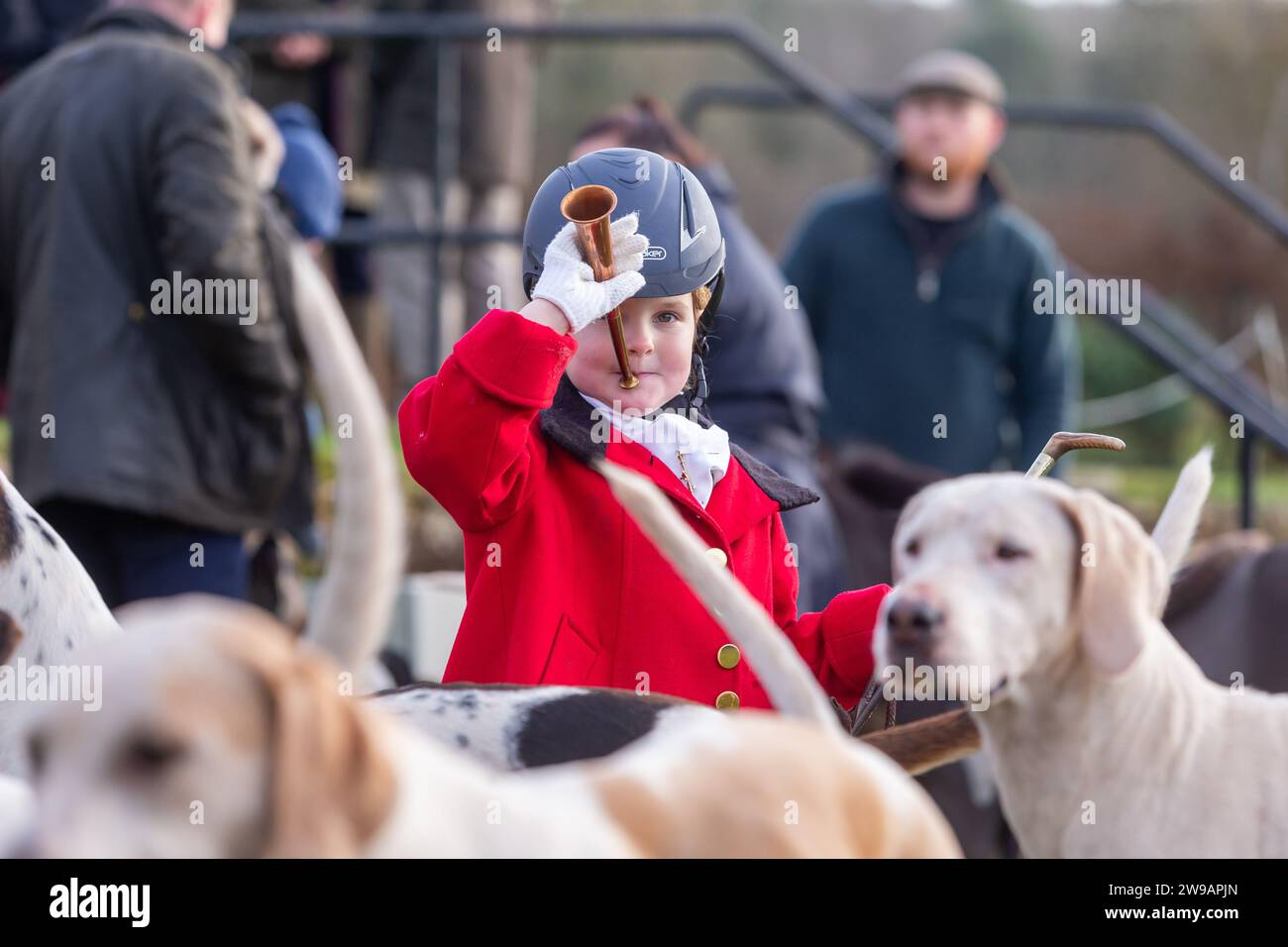 Hagley, Worcestershire, UK. 26th Dec, 2023. 4 year old Myla Mills blows her horn among the hunt riders and hounds at Albrighton and Woodland Hunt's Boxing Day meet at Hagley Hall, Worcestershire. Credit: Peter Lopeman/Alamy Live News Stock Photo