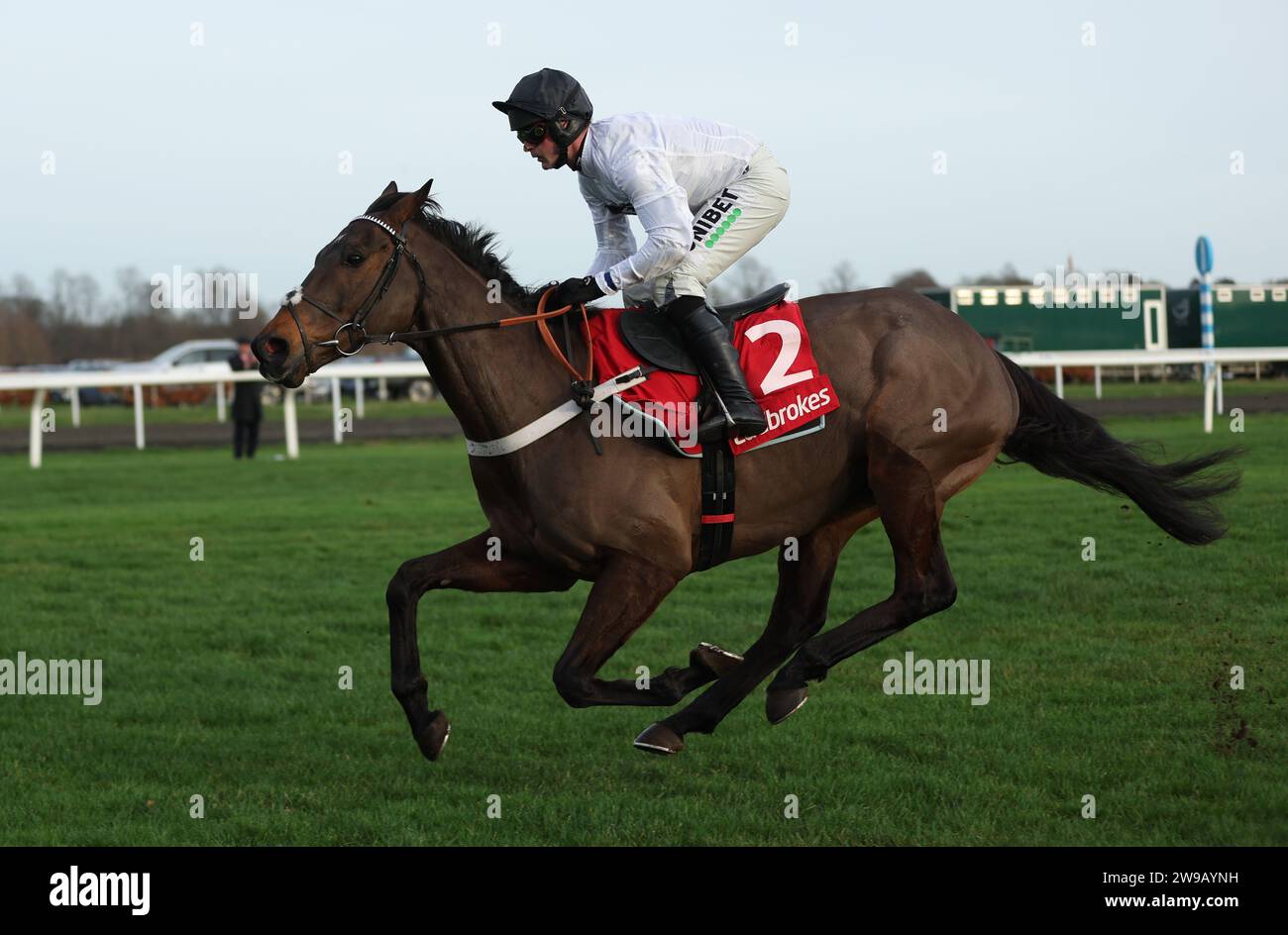 Constitution Hill ridden by Nico de Boinville goes on to win The ...