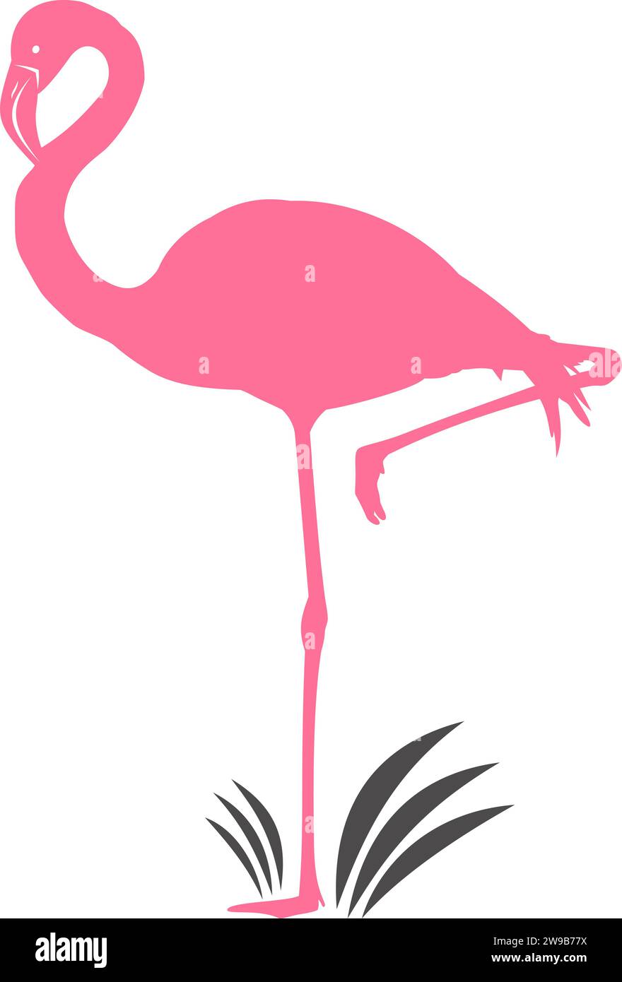 Flamingo with transparent background Stock Vector Image & Art - Alamy
