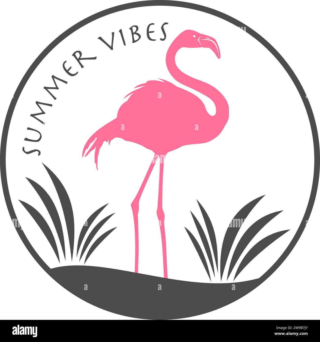 Flamingo with transparent background Stock Vector Image & Art - Alamy