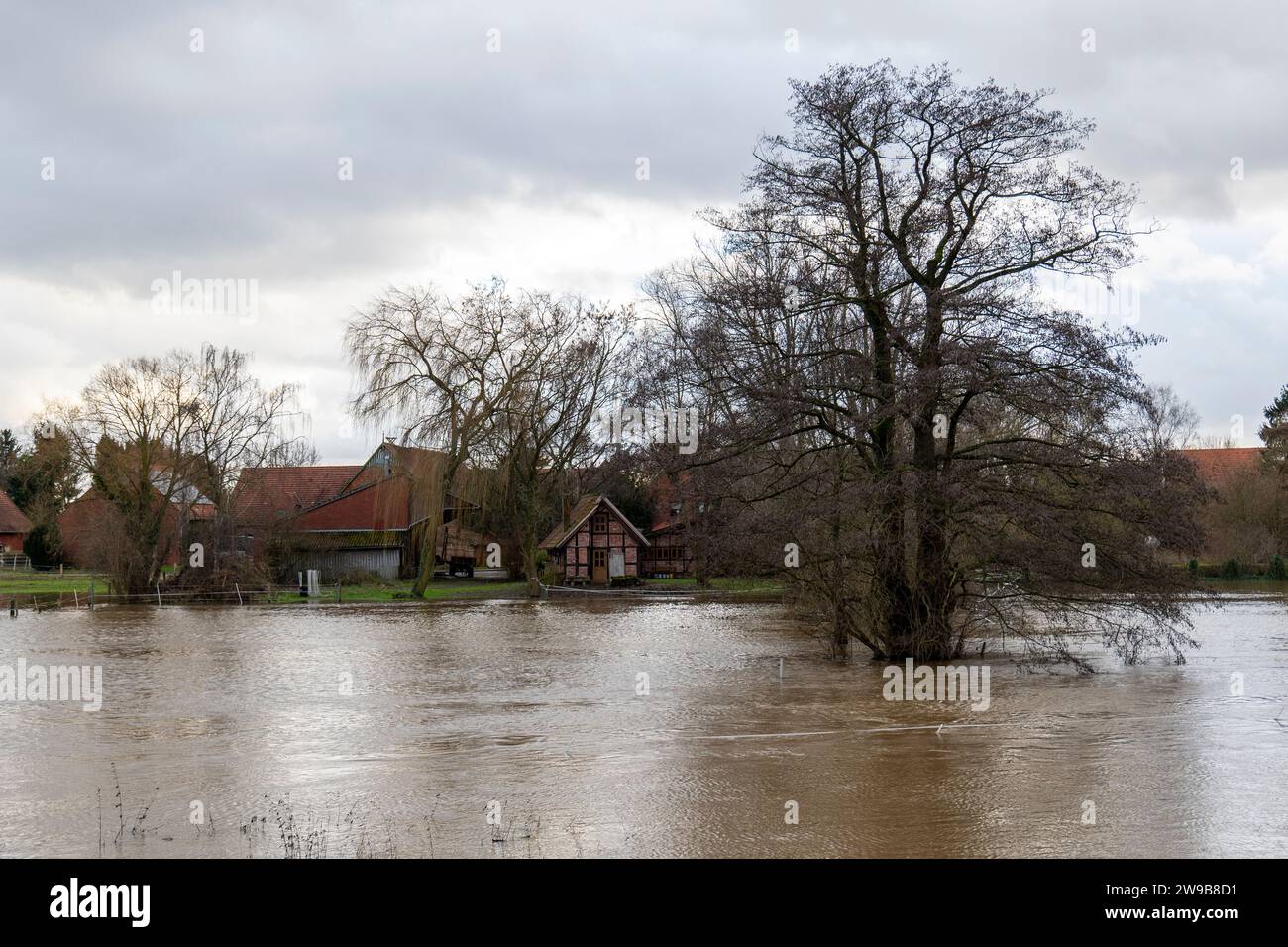 Flooded  meadows in Petershagen-Bierde on 2nd Christmas day 2023. Stock Photo
