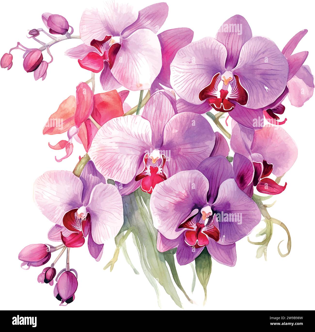 Dendrobium orchid flower Stock Vector Images - Alamy