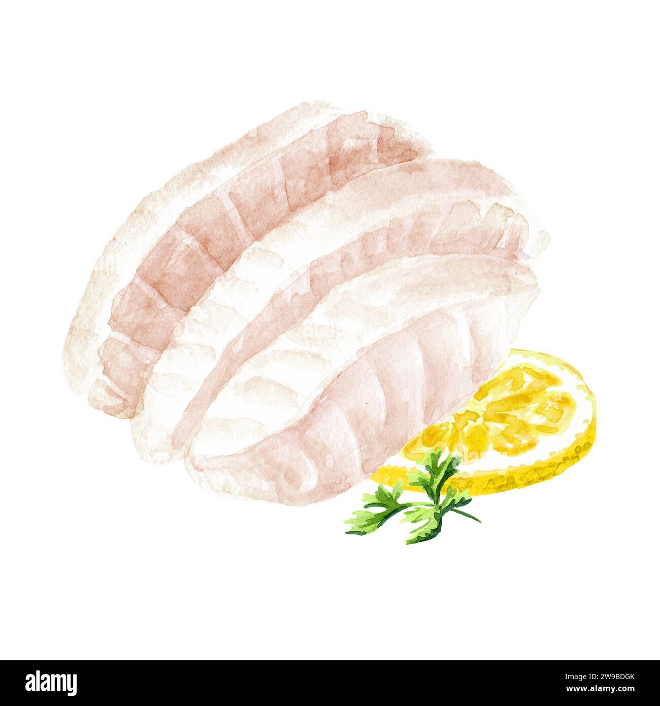 Raw Cod Fish Drawing Fish Codfish raw fillet. Hand drawn watercolor illustration, isolated ...